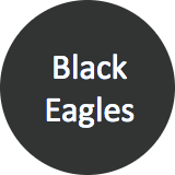 Black Eagles Cricket Club